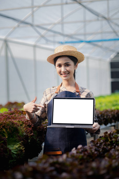 Egy kertésznő, aki laptopot tart a hidroponikus területen, nagykereskedelmi hidroponikus zöldségeket termeszt éttermekben és szupermarketekben, organikus zöldségeket. zöldségek termesztése a hidroponika koncepciójában. - Fotó, kép