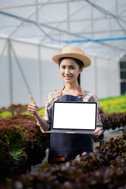 水耕栽培の分野でノートパソコンを持っている庭師の女性は、レストランやスーパーマーケット、有機野菜で卸売水耕栽培野菜を栽培しています。水耕栽培の概念で野菜を育て. - 写真・画像