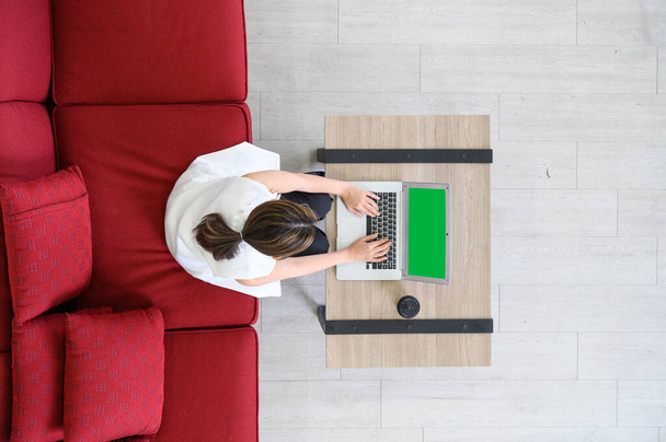 Top view of manager woman working at mock up green screen chroma key laptop with isolated display. businesswoman sits on red cozy sofa working with laptop on wooden table - Foto, afbeelding