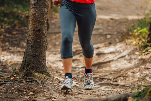 legs female runner in leggings runnin forest trail along roots of trees, summer marathon race - Photo, Image