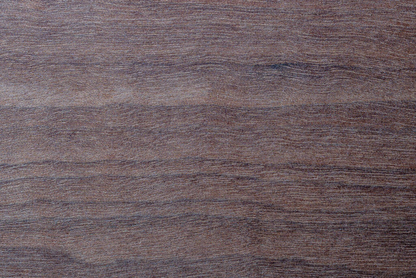 Texturschablone aus dunklem Holz mit natürlichem Muster, Nahaufnahme. Leere Baumkronen - Foto, Bild