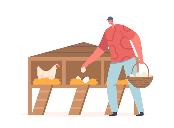 Man Collecting Eggs On Chicken Livestock Farm (em inglês). Personagem do agricultor pegando ovos do galinheiro, representando o trabalho agrícola, aves domésticas ou produtos relacionados à agricultura. Desenhos animados Pessoas Vector Ilustração - Vetor, Imagem