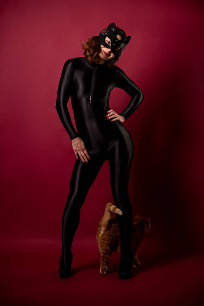 Seksowna młoda kobieta w czarnym body i masce kota. Odgrywanie ról przez dorosłych. - Zdjęcie, obraz