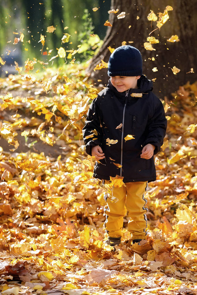 Autumn smiling boy portrait in fall yellow leaves. Little child in woolen hat, beautiful kid in park outdoor, warm clothing for october season. - Photo, Image