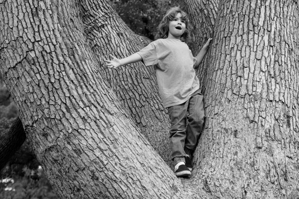 Un ragazzo che si arrampica su un albero. Il ragazzino biondo si diverte ad arrampicarsi sull'albero. Bambini piccoli che imparano a scalare, divertirsi in giardino primaverile, all'aperto - Foto, immagini