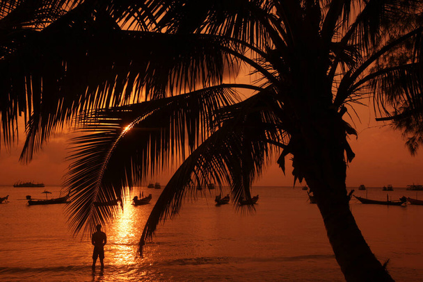 a Palmtree at Beach and Landscape of Sairee Beach at the Town of Sairee Village on the Ko Tao Island in the Province of Surat Thani in Thailand,  Thailand, Ko Tao, March, 2010 - Photo, Image