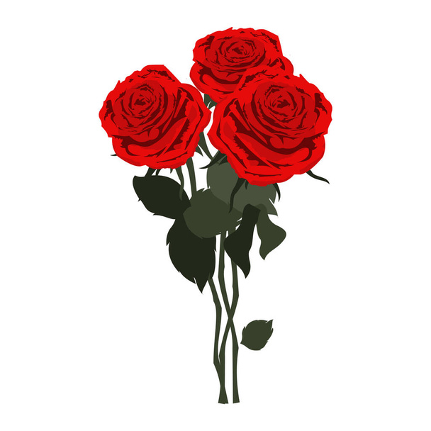 Egy csokor vörös rózsa, zöld levelekkel. - Vektor, kép