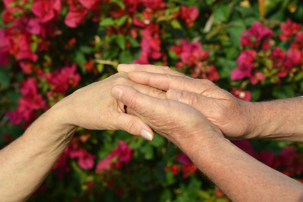 Ηλικιωμένο ζευγάρι κρατιέται χέρι - Φωτογραφία, εικόνα