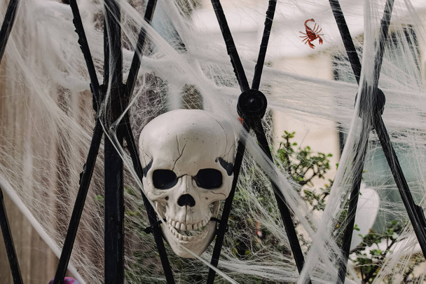 Scary Halloween decor on the fence, skull with spider net - Valokuva, kuva