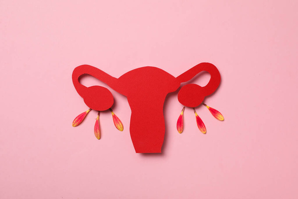 Women's health and women's healthcare concept with uterus - Fotografie, Obrázek