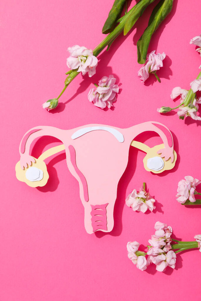 Women's health and women's healthcare concept with uterus - Foto, Imagem
