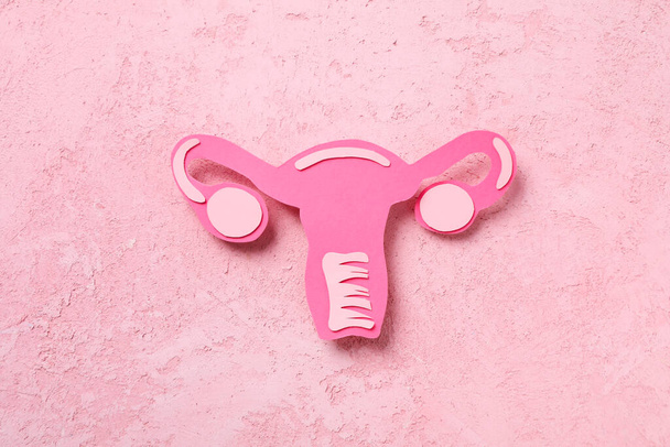 Women's health and women's healthcare concept with uterus - Photo, Image