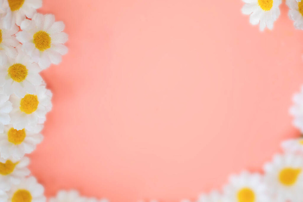 Spring Daisy frame witte bloemen tegen zachte roze pastel achtergrond.Minimaal vormgegeven concept. Witte madeliefje kamille bloemen op lichtroze achtergrond. Creatieve levensstijl, zomer, lente concept. Begrepen. - Foto, afbeelding