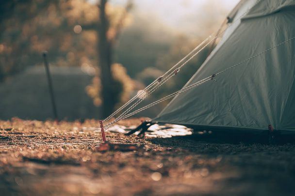 Gray tent on the grass in the forest The view behind is the mountain in the morning. Camping, Travel and holiday concept. - 写真・画像