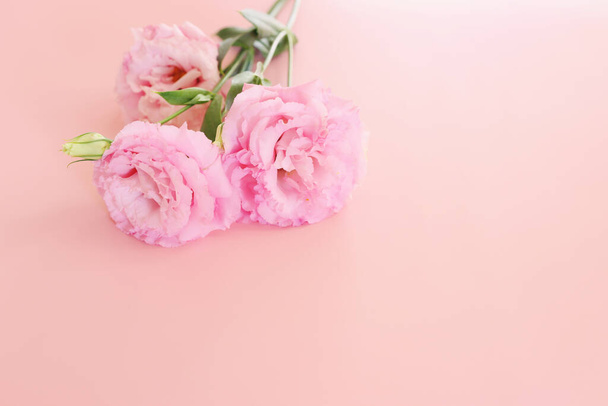 Top view image of delicate pink flowers over pastel background - 写真・画像