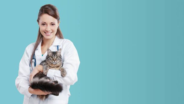 Veterinarian medical service: smiling female vet holding a cute cat, banner with copy space - Foto, Imagen