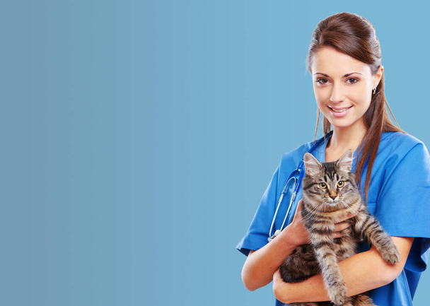 Veterinarian medical service: smiling female vet holding a cute cat, banner with copy space - Foto, imagen