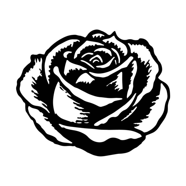 Ilustrace růže ve stylu kresby šablony. Vektor. - Vektor, obrázek
