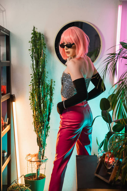 Fashionable drag queen in sunglasses and gloves looking at camera near plants at home  - Фото, зображення