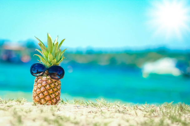 Pineapple in nature near the sea on the shore nature background - Zdjęcie, obraz