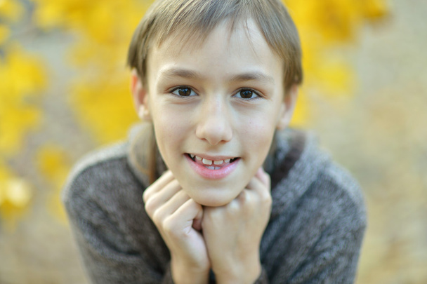 Boy in autumn park - Foto, afbeelding