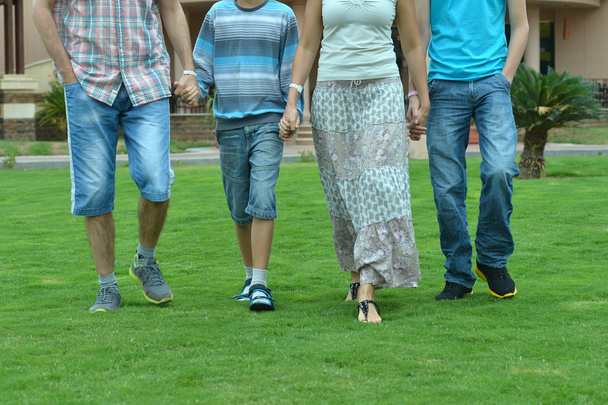 Family holding hands - Foto, Imagen