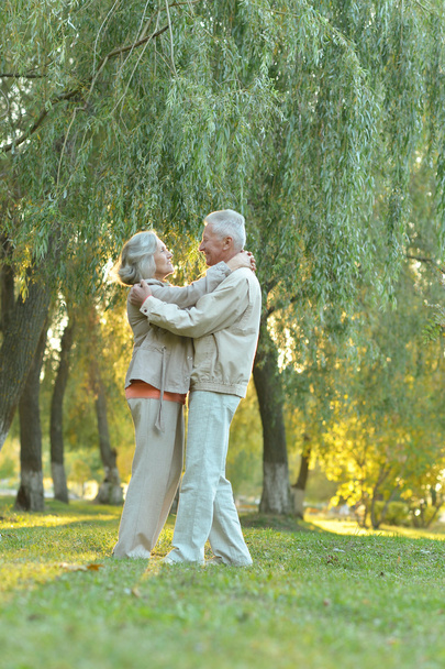 Mature couple dancing in park - Zdjęcie, obraz
