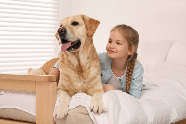 Young girl with her adorable dog on bed at home - Foto, afbeelding