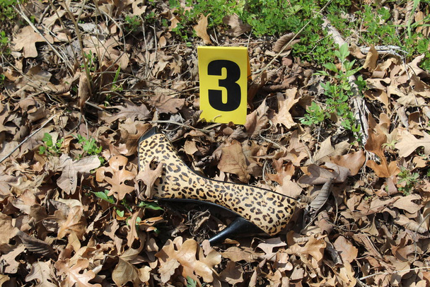 Marqueur de scène de crime et chaussure léopard femme - Photo, image