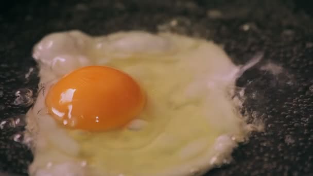 Яйце готується на сковороді
 - Кадри, відео