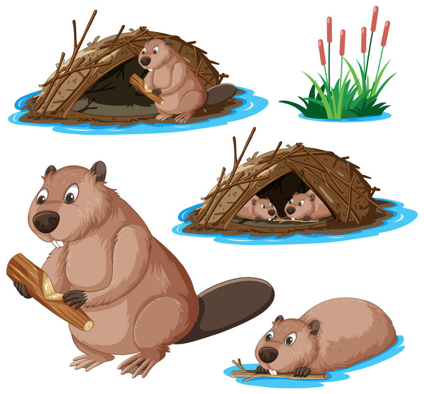 Set of beaver cartoon character illustration - Vector, Image