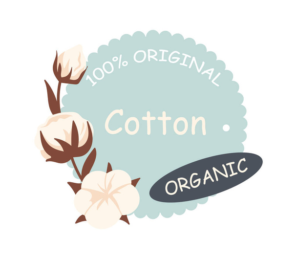 Cotton Flowers With Banner Vector Illustration - Vector, Image