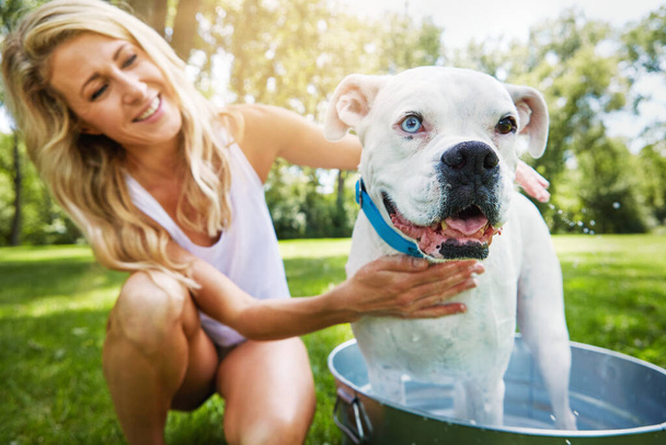 Acho que até gosto disto. Uma mulher a tomar banho com o cão de estimação lá fora num dia de Verão. - Foto, Imagem
