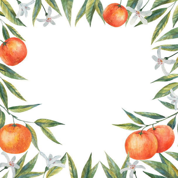 Botanikus esküvői meghívó, szüret Save the Date, sablonkeret design mandarin, narancs, citrusfélék, virágok és levelek. Akvarell poszter tervezés - Fotó, kép