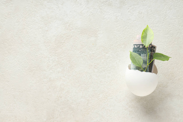 Composition with egg shell and money - retirement - Fotoğraf, Görsel