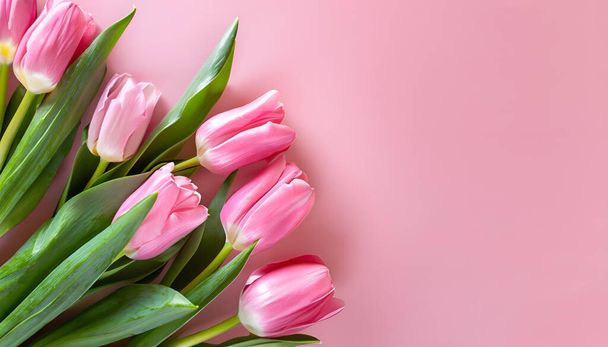  Bouquet of pink tulips flowers on pastel pink background with copy space - Photo, Image
