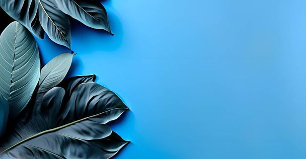 coleção de folhas tropicais folhagem na cor azul pastel, fundo azul pastel com espaço livre de cópia - Foto, Imagem