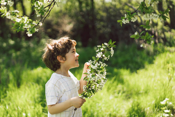 Щасливий маленький хлопчик, що ходить у весняному саду. Дитина грає з гілкою вишневого дерева і розважається. Малюк досліджує природу. Малюк розважається. Весняна активність для допитливих дітей
. - Фото, зображення