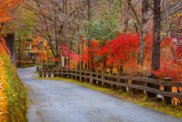 Místní silnice s podzimními listy v Kurokawa Onsen, město v Kumamoto, Japonsko - Fotografie, Obrázek