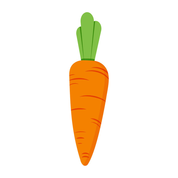 Carrot illustration isolated on white background - Vektor, obrázek