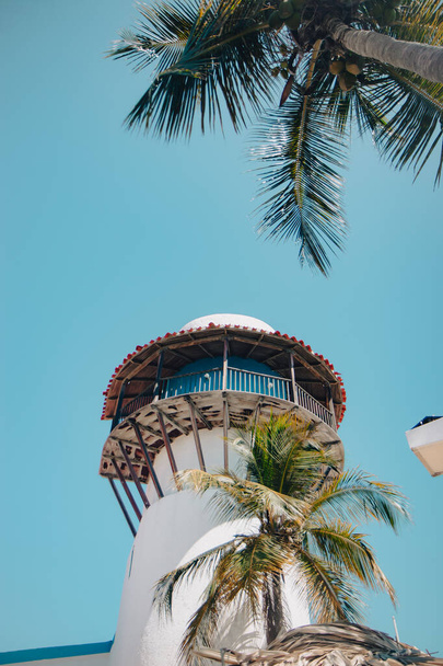 Zeezicht palmbomen in een club strand met een rustige sfeer - Foto, afbeelding