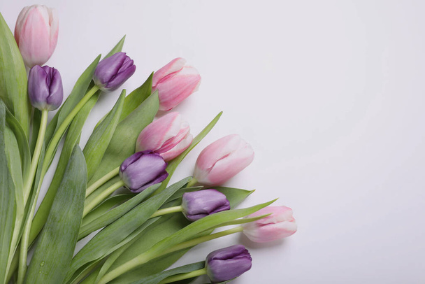 Beautiful tulips on light background, flat lay. Space for text - Foto, Imagem