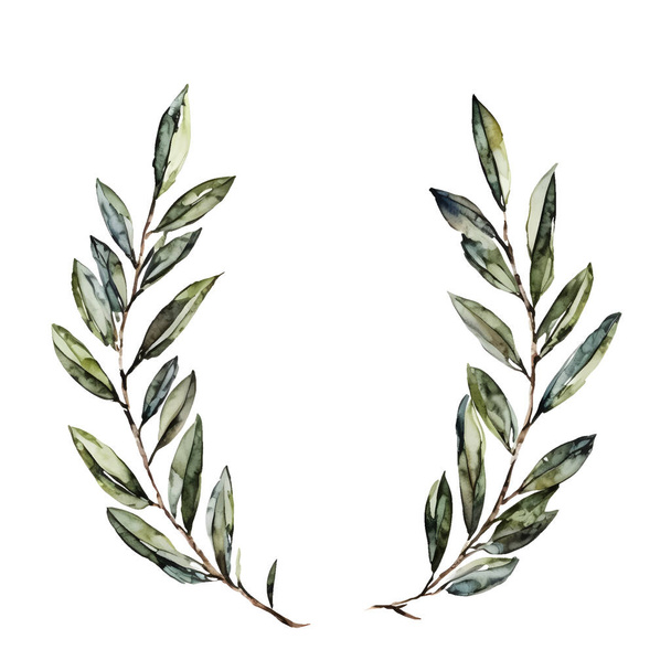 Акварельный векторный венок оливковых ветвей без ягод. Векторная иллюстрация - Вектор,изображение