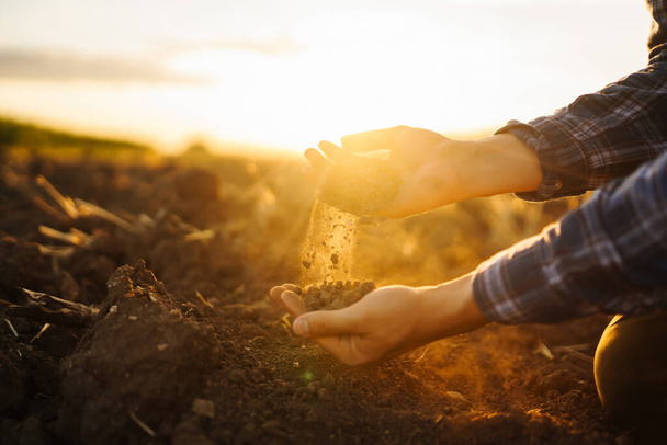 Farm owner checks the quality of the soil with his hands with a tablet and checks the fertility before sowing. Horticulture and agriculture concept. - Foto, Imagen