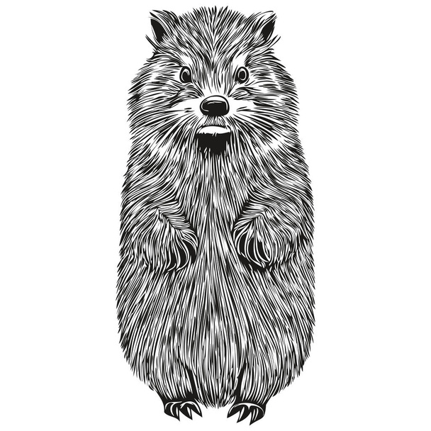 hód logó, fekete-fehér illusztráció kézi rajz hód - Vektor, kép