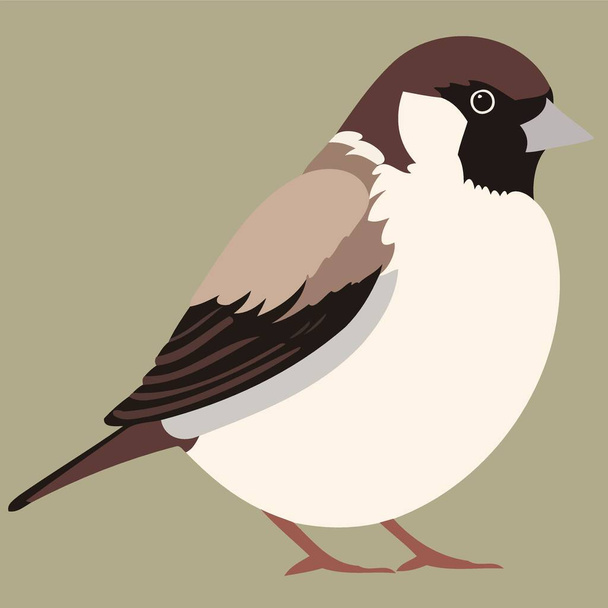 animal bird sparrow male minimalistic vector illustration - Vektör, Görsel