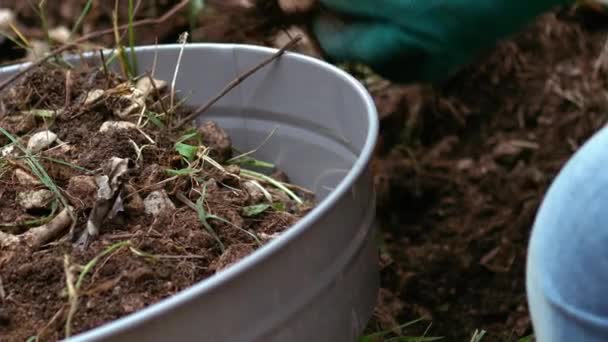 Puutarhuri valmistelee maaperän maaperän seula kasvien viljelyyn keskipitkällä zoom hidastettuna laukaus valikoiva painopiste - Materiaali, video
