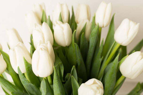 Maravilloso ramo de tulipán blanco, vista de cerca - Foto, Imagen