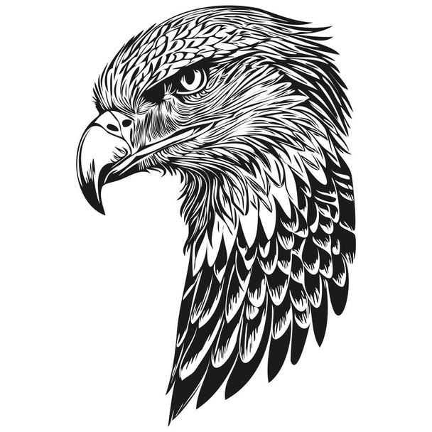 Realistic eagle vector, hand drawn animal illustration bir - Vector, Image
