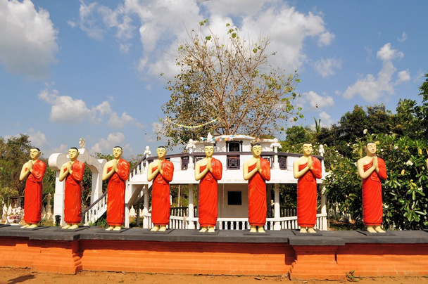Statue del discepolo buddista in un tempio dello Sri Lanka
 - Foto, immagini